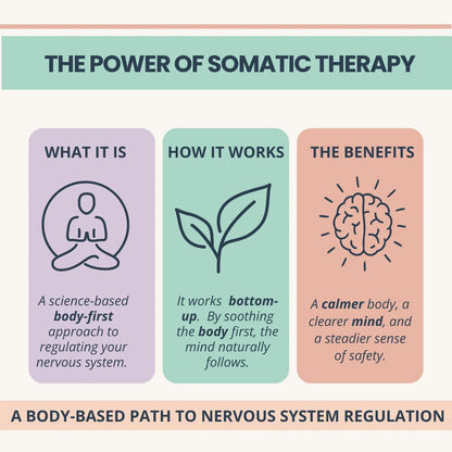 The Nervous System Regulation Toolkit