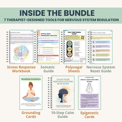 The Nervous System Regulation Toolkit