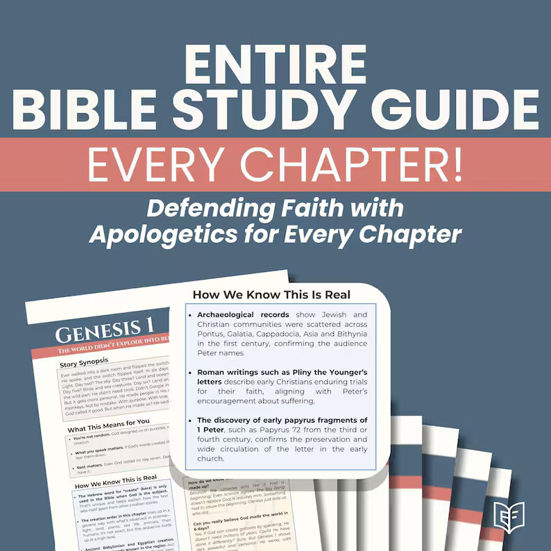 A Bible Study in One Year - 52-Week Study, A 365-Day Spiritual Journey with Daily Prayer and Notes