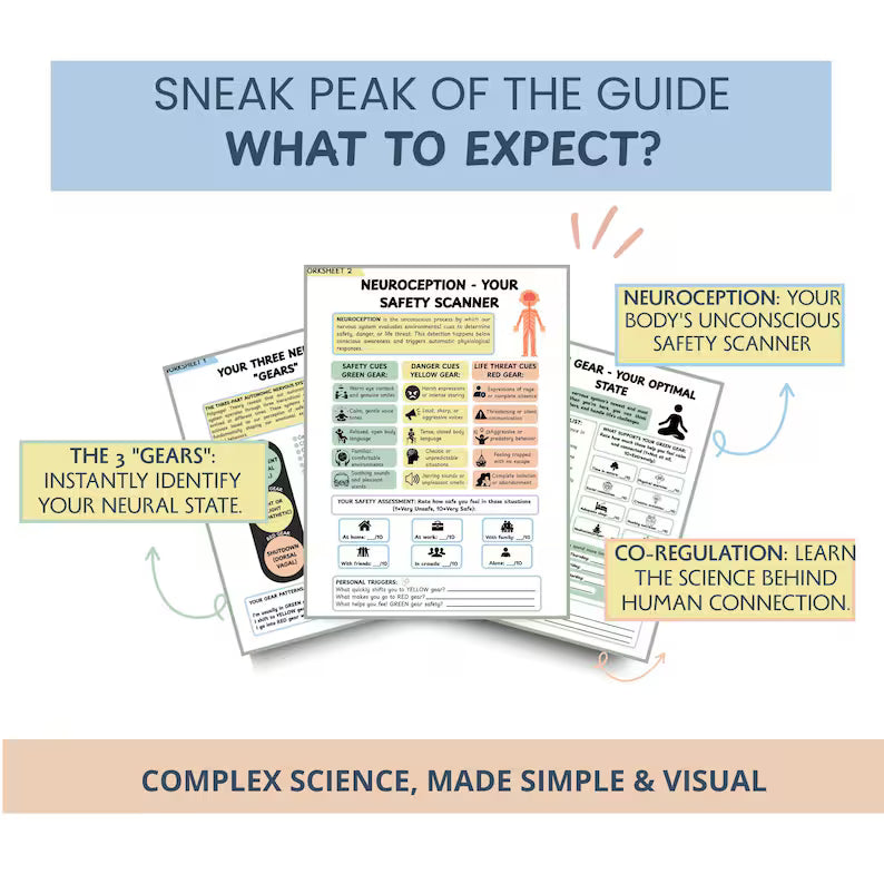 Polyvagal Cheat Sheets: Visual Guide to Your 3 States